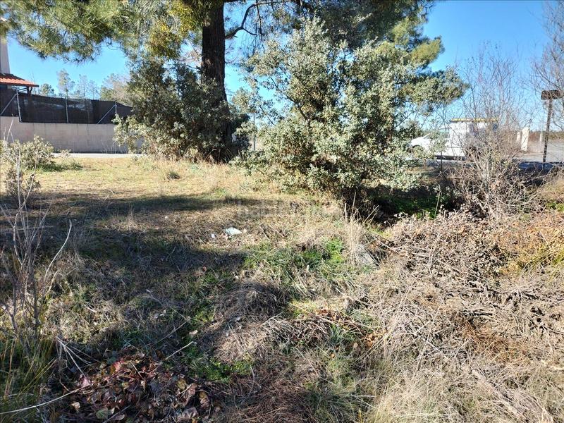 Foto 88309d0d-df89-40bb-a5db-a12d394c80fd. Terrain résidentiel dans Marugán