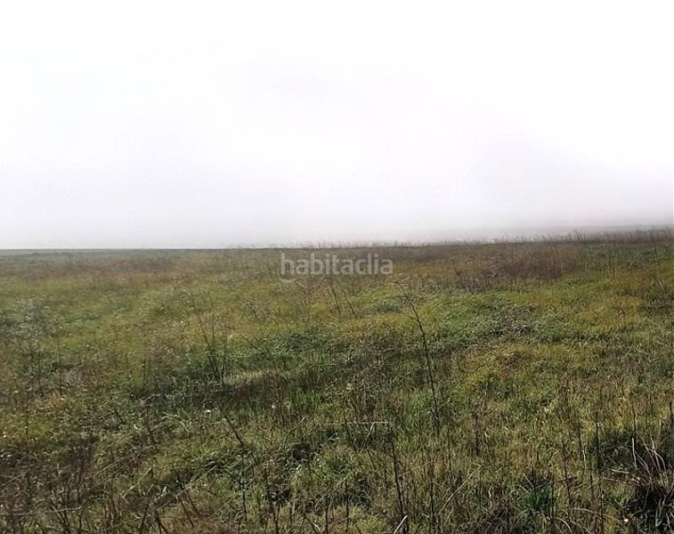 Foto fd557aa3-8c88-4559-a45f-154c832f9734. Terreno residencial en Aldeatejada