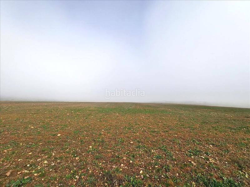 Foto fe7a80c2-9825-4c3c-a153-4aa96ef2bced. Terreno residencial en Aldeatejada