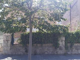 Haus  Nou
