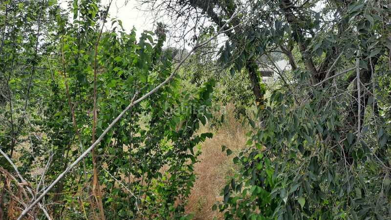 Foto 39b572fa-8c9a-4a1d-81dd-60622b7ef152. Appartement in Urbanitzacions Mataró