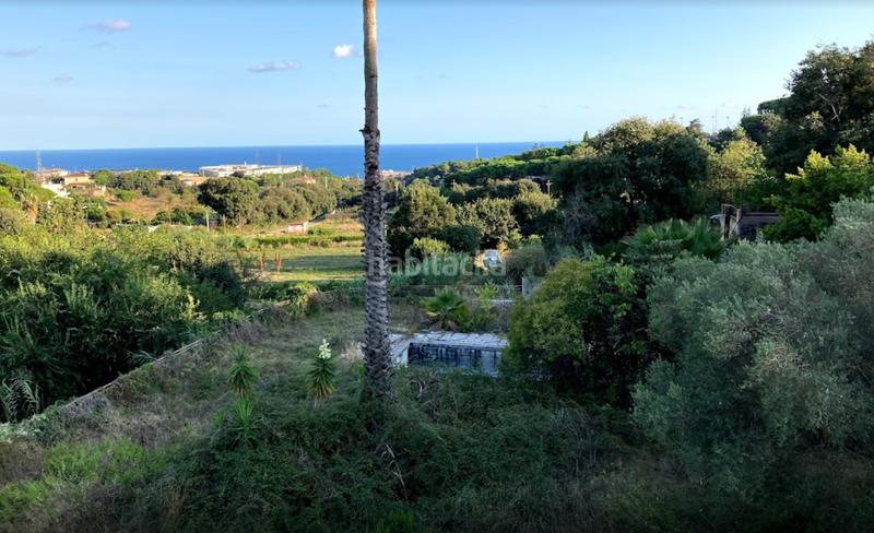 Foto 3cd615b4-2214-475c-b0e1-e54fde083c0f. Appartement in Urbanitzacions Mataró