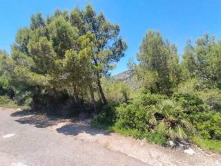 Residential Plot  El pinar