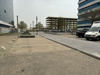 Parking coche  Pino estrobo