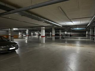 Parking coche  Pino estrobo