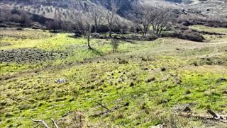 Wohngrundstück  Camino de tejadilla