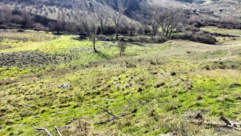 Foto a7c0d653-1fb3-44a3-9da7-24217d779d2e. Terreny residencial a El Cerro - Ctra. De San Rafael Segovia