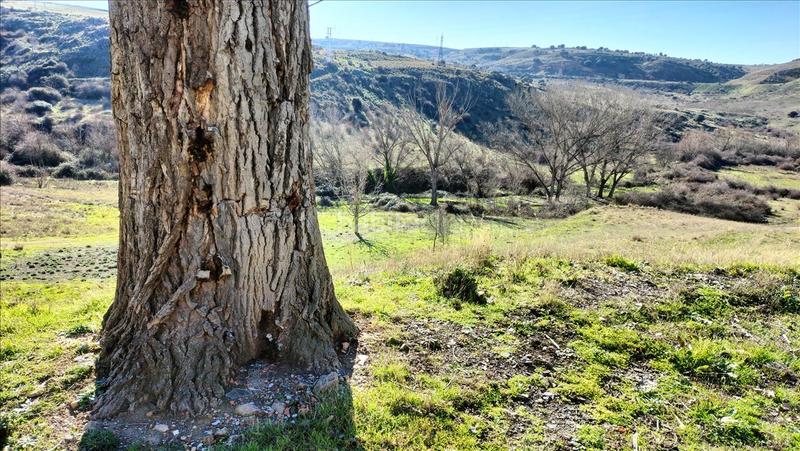 Foto 0b01d8e4-0e6a-4baa-bf04-25f7efd5a6bf. Wohngrundstück in El Cerro - Ctra. De San Rafael Segovia