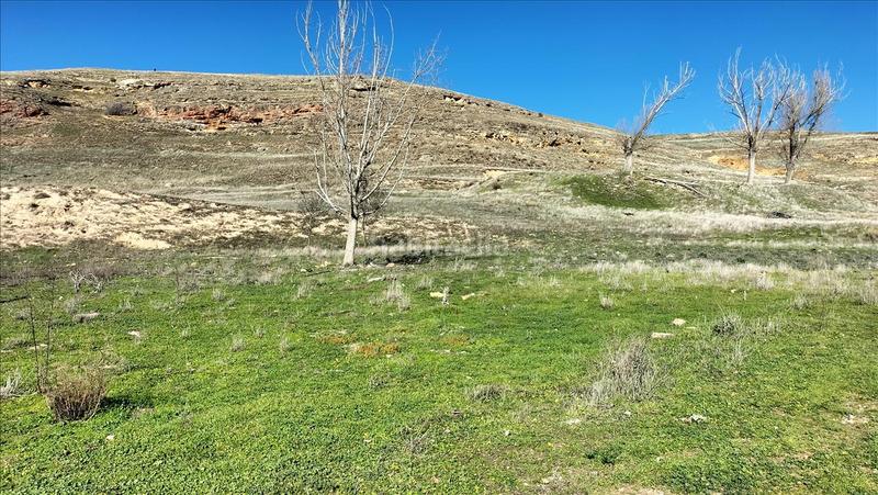 Foto 21a88440-bc47-438b-b03e-0ce1dd804e8b. Wohngrundstück in El Cerro - Ctra. De San Rafael Segovia