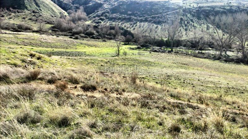 Foto 22f8392b-034b-40f9-8cc8-85f21c716423. Wohngrundstück in El Cerro - Ctra. De San Rafael Segovia