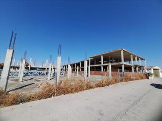Apartament  Cuevas