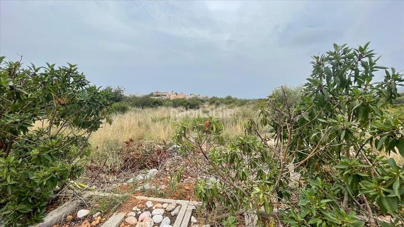 Foto 3245e378-95de-478d-8eca-8bf840836490. Terreno residencial en Costa Sur Peñíscola