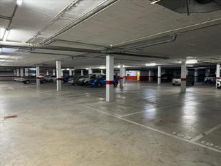 Parking coche  Pino estrobo