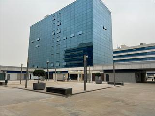 Parking coche  Pino estrobo