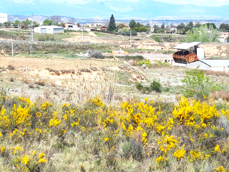 Foto ace30d14-c842-43ab-8fff-2999b5815928. Terreny residencial a Lardero