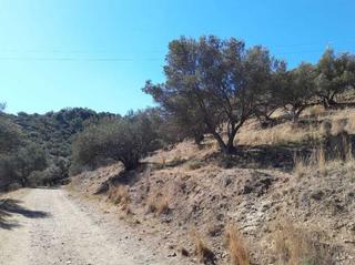 Terreno residenziale  Pago de rioseco