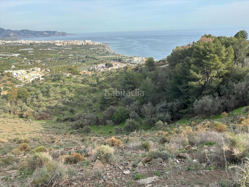 Foto 6b4fe4ef-be7c-4217-9140-aceb0e8b29ba. Wohngrundstück in Chaparil - Torrecilla - Punta Lara Nerja