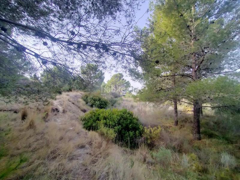 Foto 14787827-9662-41ef-8f1f-d757d7e4206c. Terreny residencial a Finestrat pueblo Finestrat