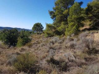 Terreno residenziale  Foya del cac