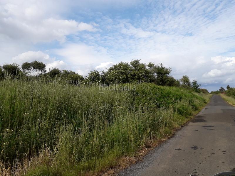 Foto b0fcb659-33c5-41de-b2d9-81ccf7a2e486. Terreny residencial a San Lázaro - Meixonfrío Santiago de Compostela