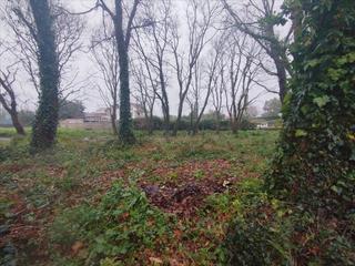 Terreno residenziale  Carregal de abaixo - amorin. loural. polígono 88 parcela 312