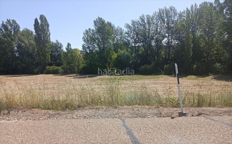 Foto c52f8ae4-65cd-4118-b5d3-446949a518ae. Terreny residencial a El Ejido - Santa Ana León