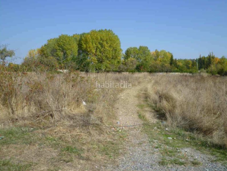 Foto c9d6aa74-72c8-4345-8d17-71a98e06b59f. Terreny residencial a El Ejido - Santa Ana León