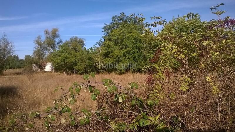 Foto e7f13803-ac7b-4de3-8b2b-460006c2661c. Terreny residencial a El Ejido - Santa Ana León