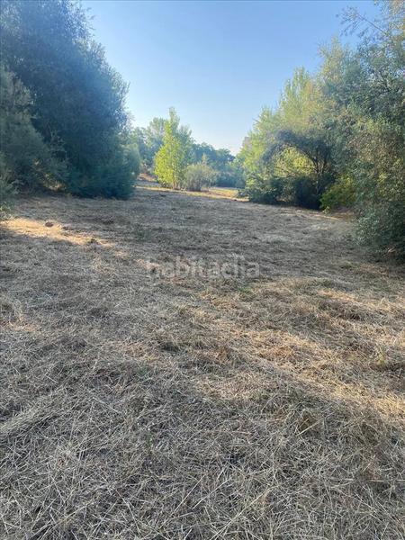 Foto a49bb449-feeb-4eb5-9c03-e8feeca48e17. Terreno residencial en Secà de Sant Pere Lleida