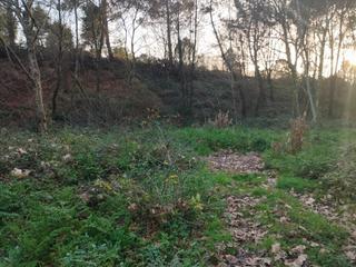 Wohngrundstück  Miñoto polg 19 parc 219, parroquia atios