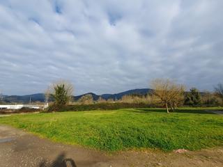 Residential Plot  Fornial