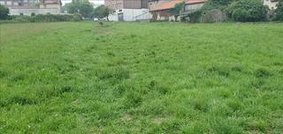 Terreny residencial  Albericia