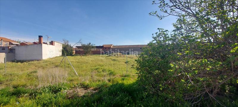 Foto d073e657-7cd8-4a17-b611-4e8896b4a186. Terreny residencial a Alovera