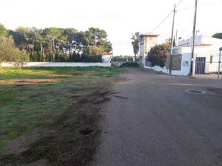 Terreno residenziale  Poligono 24