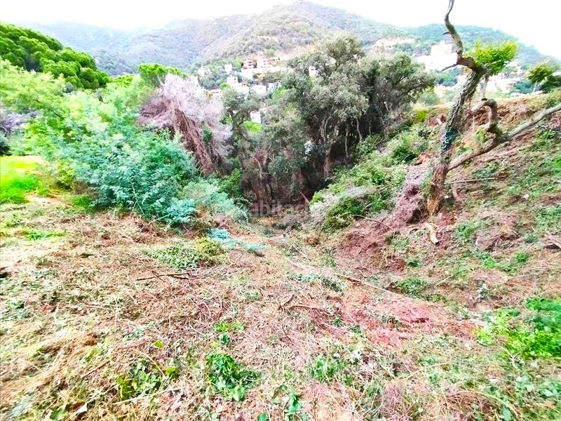 Foto 5dcdc873-9863-401d-8f99-62864c19b403. Terreno residencial en Rosamar Santa Cristina d´Aro