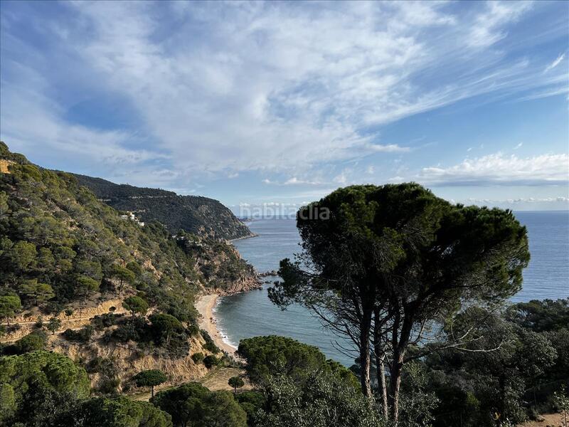 Foto 9b0ab917-1a3f-4766-83e3-b6a7842a83e9. Terreno residenziale in Rosamar Santa Cristina d´Aro