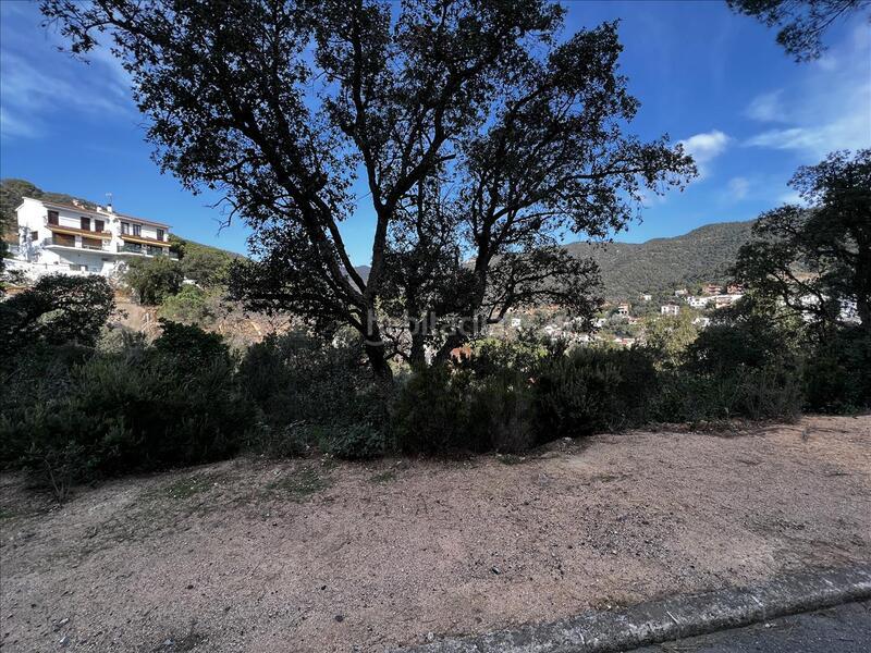 Foto a23e0f09-edc4-47b2-aae1-9c182b3267b5. Terreno residenziale in Rosamar Santa Cristina d´Aro