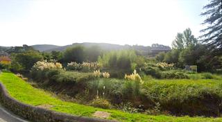 Residential Plot  Conde de albox