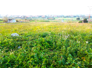 Terreny residencial  Monte bolado