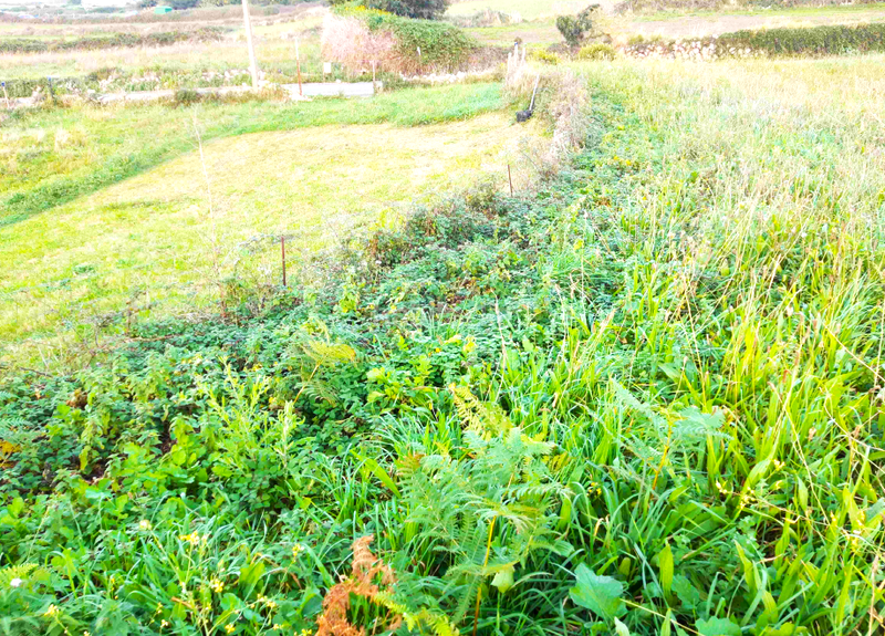 Foto 33281919-d826-46e5-8d7a-9024d3336aee. Terrain résidentiel dans Monte Santander