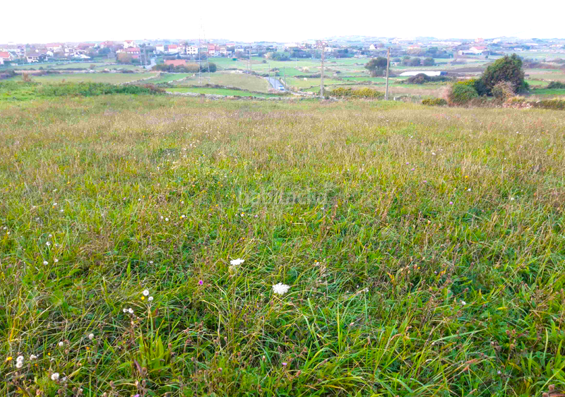 Foto b3356a5c-3784-448e-85f1-200cdeedbf2d. Terrain résidentiel dans Monte Santander