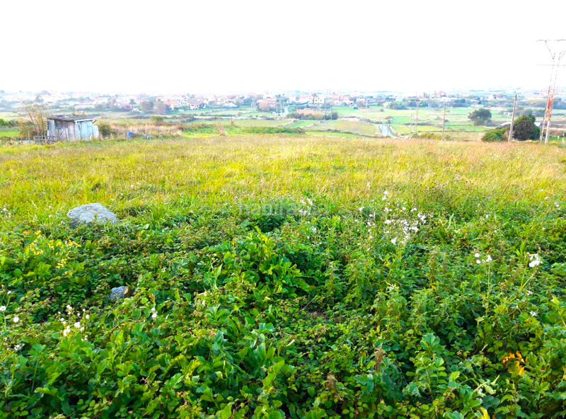 Foto cf929953-8537-49a8-860e-fde42f3bf6d3. Terreno residenziale in Monte Santander