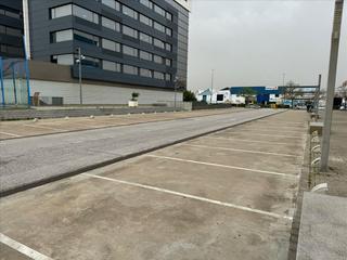 Parking coche  Pino estrobo