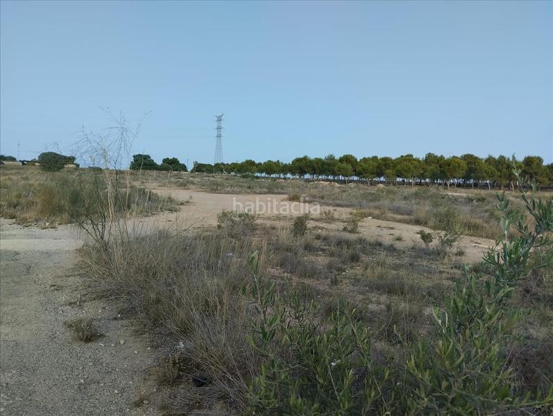 Foto 5ed40d96-e7dd-4cc1-8bcb-5ae5c1bbb8be. Wohngrundstück in Los Girasoles Sant Vicent del Raspeig