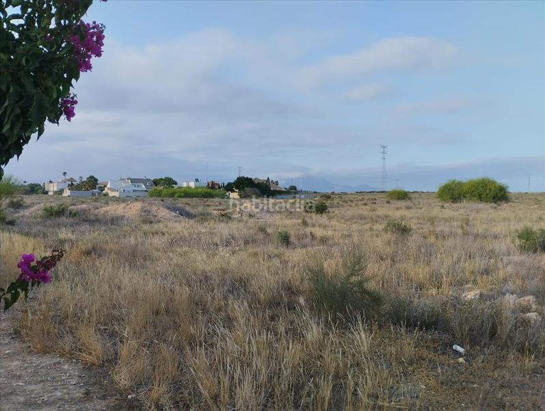 Foto 79eb43da-8b44-4bc6-87ce-62c4803bdeec. Wohngrundstück in Los Girasoles Sant Vicent del Raspeig