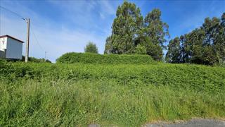 Residential Plot  Taina