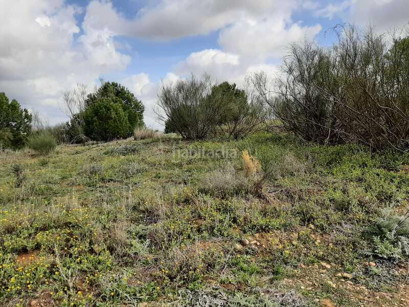 Foto 32ec9117-f2ee-4e73-b607-eb91a1476b84. Terreny residencial a Carretera de Sevilla - Los Montitos Badajoz