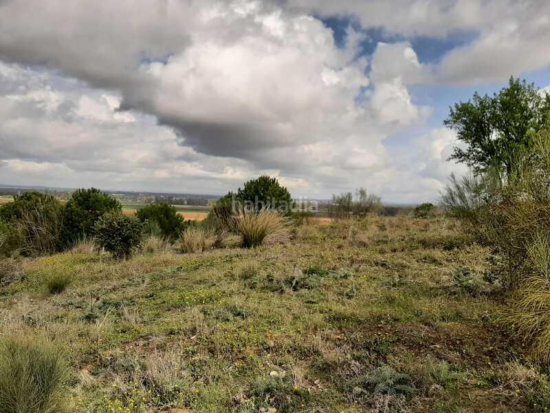 Foto 49053f33-6f91-4b2c-9cf9-0ced374b90ec. Terreny residencial a Carretera de Sevilla - Los Montitos Badajoz