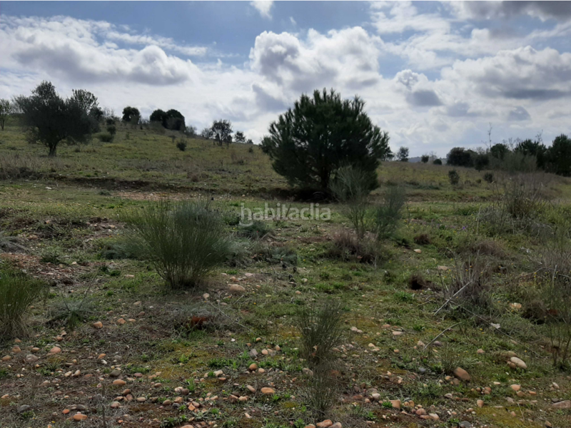 Foto 4ab31c73-37ce-4b2a-b0c3-7c85fe46266d. Terreny residencial a Carretera de Sevilla - Los Montitos Badajoz