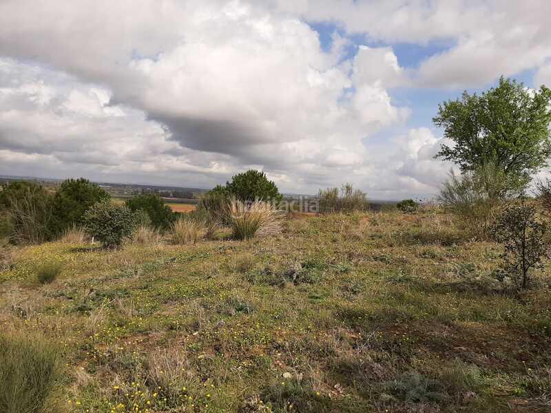 Foto 6a512f58-d95d-4a2f-b686-6b84691b9831. Terreny residencial a Carretera de Sevilla - Los Montitos Badajoz